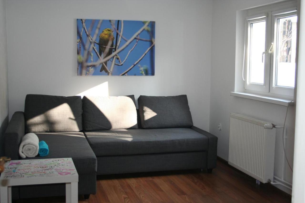 Apartament U Sikorek يلينيا غورا المظهر الخارجي الصورة