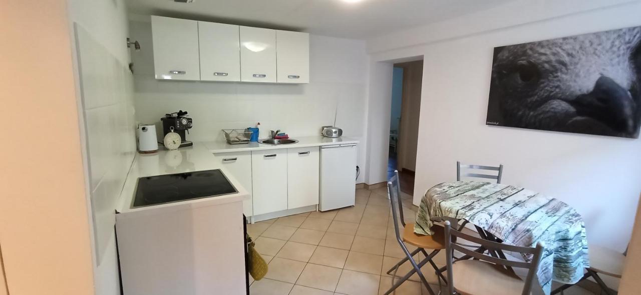 Apartament U Sikorek يلينيا غورا المظهر الخارجي الصورة